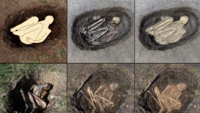 Photo of Bukan di Mesir, Mumi Tertua di Dunia Ditemukan di Portugal