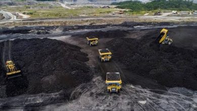 Kasus Tambang Batubara Ilegal ‘Ratu Koridor’ Tak Kunjung Tuntas, Jaringan Aktivis Indonesia Ancam Demo Besar-besaran di Mabes Polri