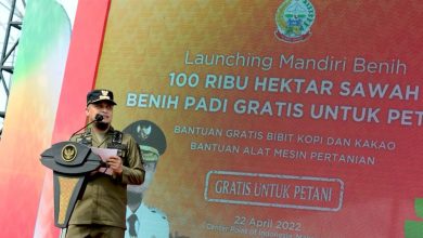 Pemprov Sulsel Luncurkan Program Mandiri Benih, Ini Manfaatnya_bimata.id