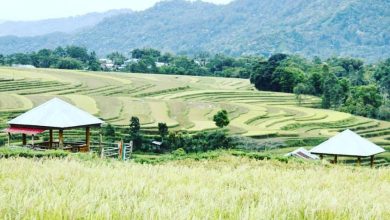 4 Desa Wisata di Sulsel Lolos 50 Besar ADWI 2022_bimata.id