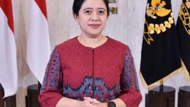 Puan Maharani Sebut Pemekaran Wilayah di Papua Untuk Mempercepat Pembangunan