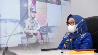 Program Mandiri Benih Pemprov Sulsel Diharap Tingkatkan Kesejahteraan Petani_bimata.id