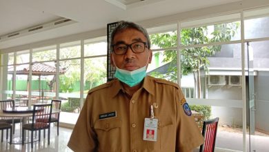 Daftar Pekerjaan Tenaga Honorer Pemprov Sulsel yang Dipastikan Beralih ke Outsourching_Bimata.id