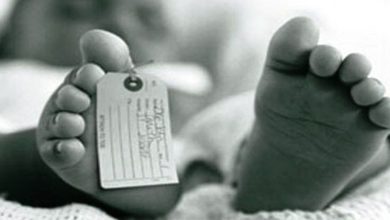 Temuan Mayat Bayi dalam Wadah Makanan di Daya Makassar Ternyata Berisi 7 Janin_Bimata.id