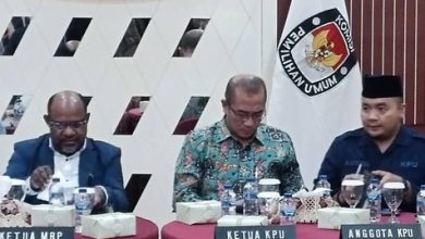Pasca DOB Papua Terbentuk, MRP Usul ke KPU Soal Konsekuensi Elektoral