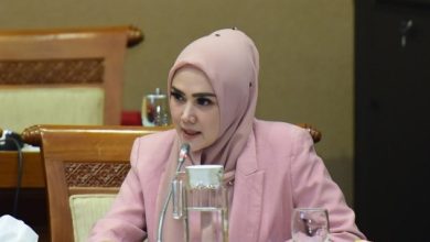 Kritik Pemerintah Soal Kompor Listrik, Mulan Jameela dapat Dukungan dari Warganet