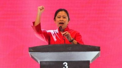 Tingkatkan Citra Puan, Fraksi PDIP DPR Bentuk Dewan Kolonel