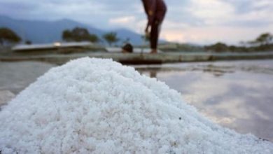 Kejagung Umumkan Tersangka Kasus Dugaan Korupsi Impor Garam Pekan Depan
