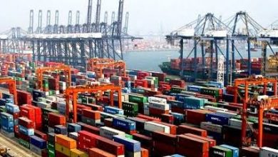 Sulsel Ekspor Produk Halal ke 10 Negara_bimata.id