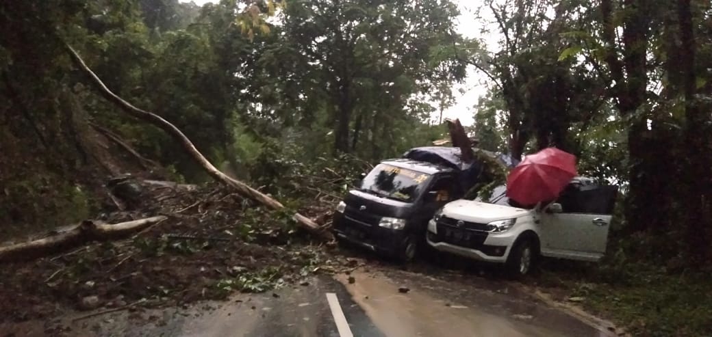 Cuaca Ekstrem Landa Sulsel, Longsor Malino Telan Korban Jiwa_bimata.id