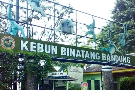 Bandung Zoo Ajukan Banding ke Pengadilan Tinggi Soal Kepemilikan Lahan