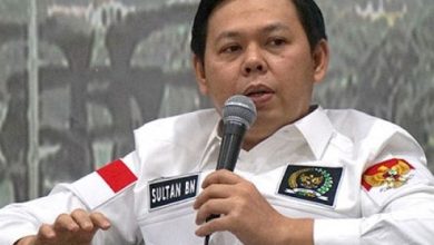 MK Perbolehkan Menteri Ikut Pilpres, Sultan Khawatir Kinerja Terganggu