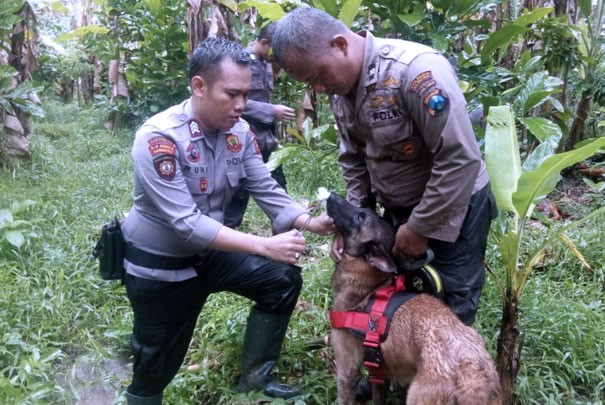 Polres Malang Kerahkan Anjing K9 Kejar Pelaku Pembunuhan Ibu Dua Anak