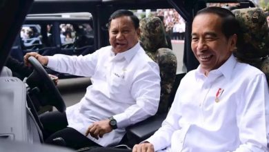 Presiden Jokowi Dianggap Endorse Prabowo, Waketum Gerindra: Itu Faktor Penting
