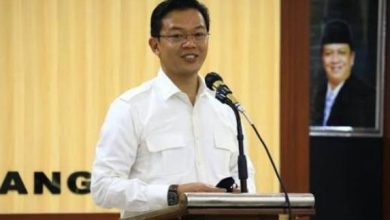 Presiden Jokowi Dianggap Endorse Prabowo, Waketum Gerindra: Itu Faktor Penting