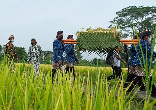 Masuki Panen Raya, Mendag Zulhas Minta Impor Beras Dihentikan