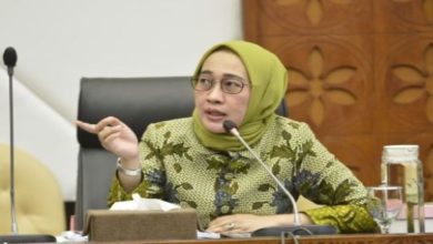 Komisi IV DPR Minta Kementerian LHK Tindaklanjuti Laporan Masyarakat Mimika Soal PT Freeport Indonesia