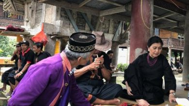 Kendarai Gerindra, Istri Rudiyanto Asapa Fecilitas Tallulembang Bidik Senayan_bimata.id