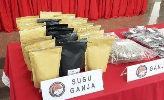 Polres Metro Jakarta Pusat Sita 1.653 Gram ‘Susu Ganja’