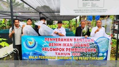 Warga Makassar Bersyukur Dapat Bantuan Bibit Ikan DPRD Sulsel Adam Muhammad