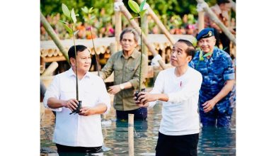 Photo of Jokowi dan Prabowo Tanam Mangrove Serentak, Disambut Antusias Warga