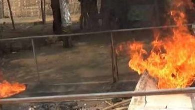 Polisi Bakar Arena Judi Sabung Ayam di Sumobito Jombang