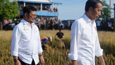 Mentan Syahrul Yasin Limpo Diperiksa KPK, Presiden Jokowi: Hormati Hukum yang Ada