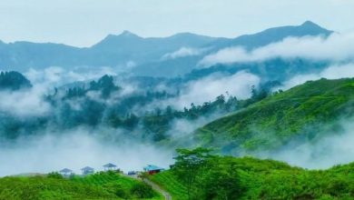 Beautiful Malino Kembali Digelar, Pemkab Gowa Target 70 Ribu Pengunjung_bimata.id