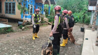 Unit Satuan Polisi Satwa (K9) Direktorat Polisi Satwa (Ditpolsatwa) Polda Jawa Tengah